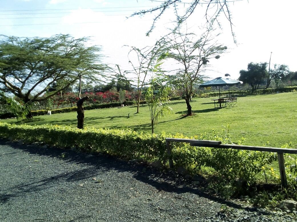 The Grand Lawn outdoor event venue at Tongue Tang Meadows