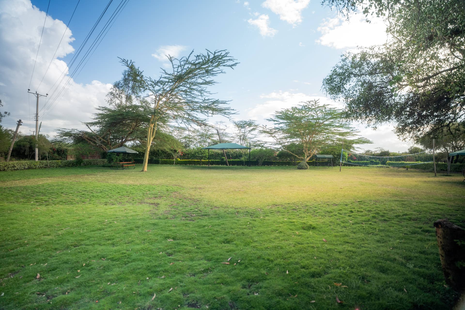 Natural garden serenity at Tongue Tang Meadows