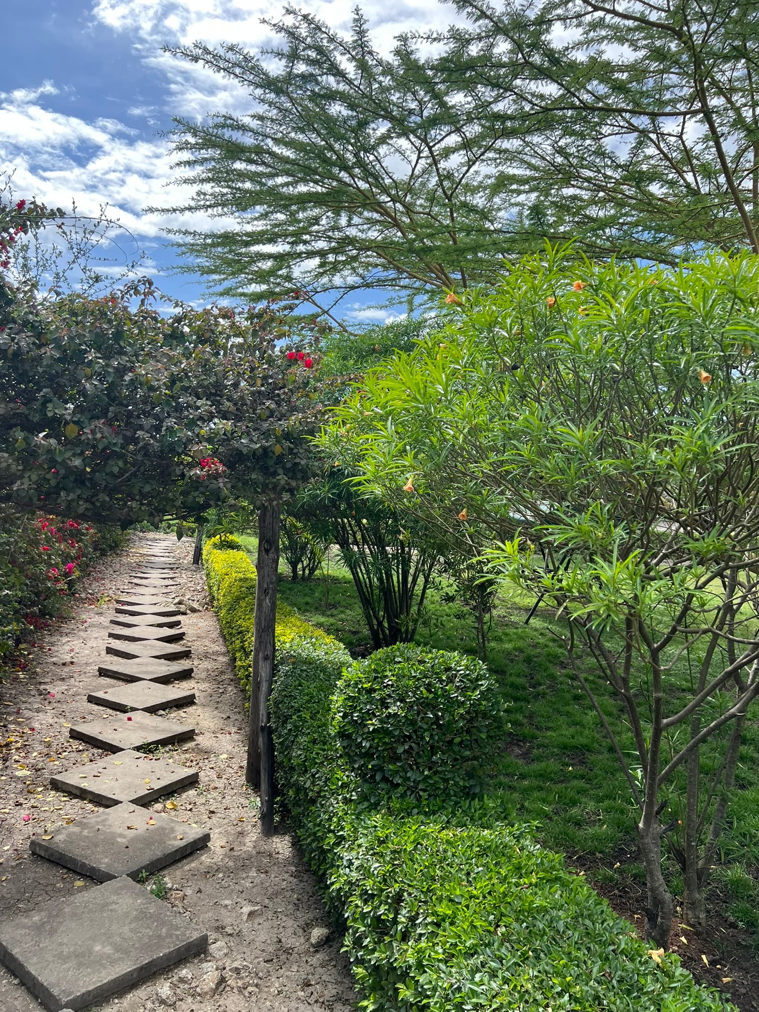 Garden event setting at Tongue Tang Meadows