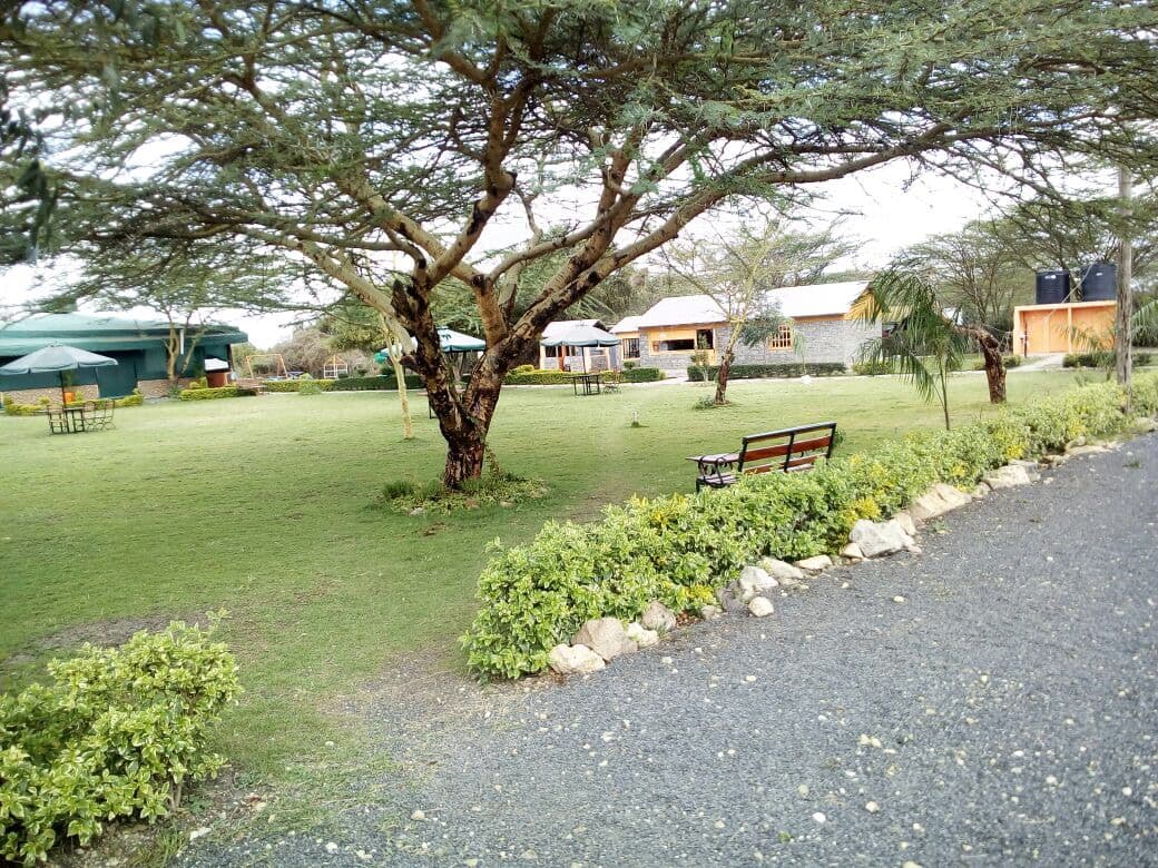 The Grand Lawn: Setting the Stage at Tongue Tang Meadows